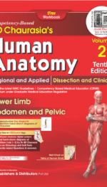 BD CHAURASIA'S HUMAN ANATOMY VOLUME - 2  (10/EDITION 2025)