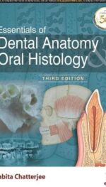 ESSENTIALS OF DENTAL ANATOMY & ORAL HISTOLOGY