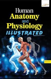 HUMAN ANATOMY AND PHYSIOLOGY ILLUSTRATED 1/ED