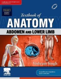 Textbook of Anatomy: Abdomen and Lower Limb, Vol 2, 4e